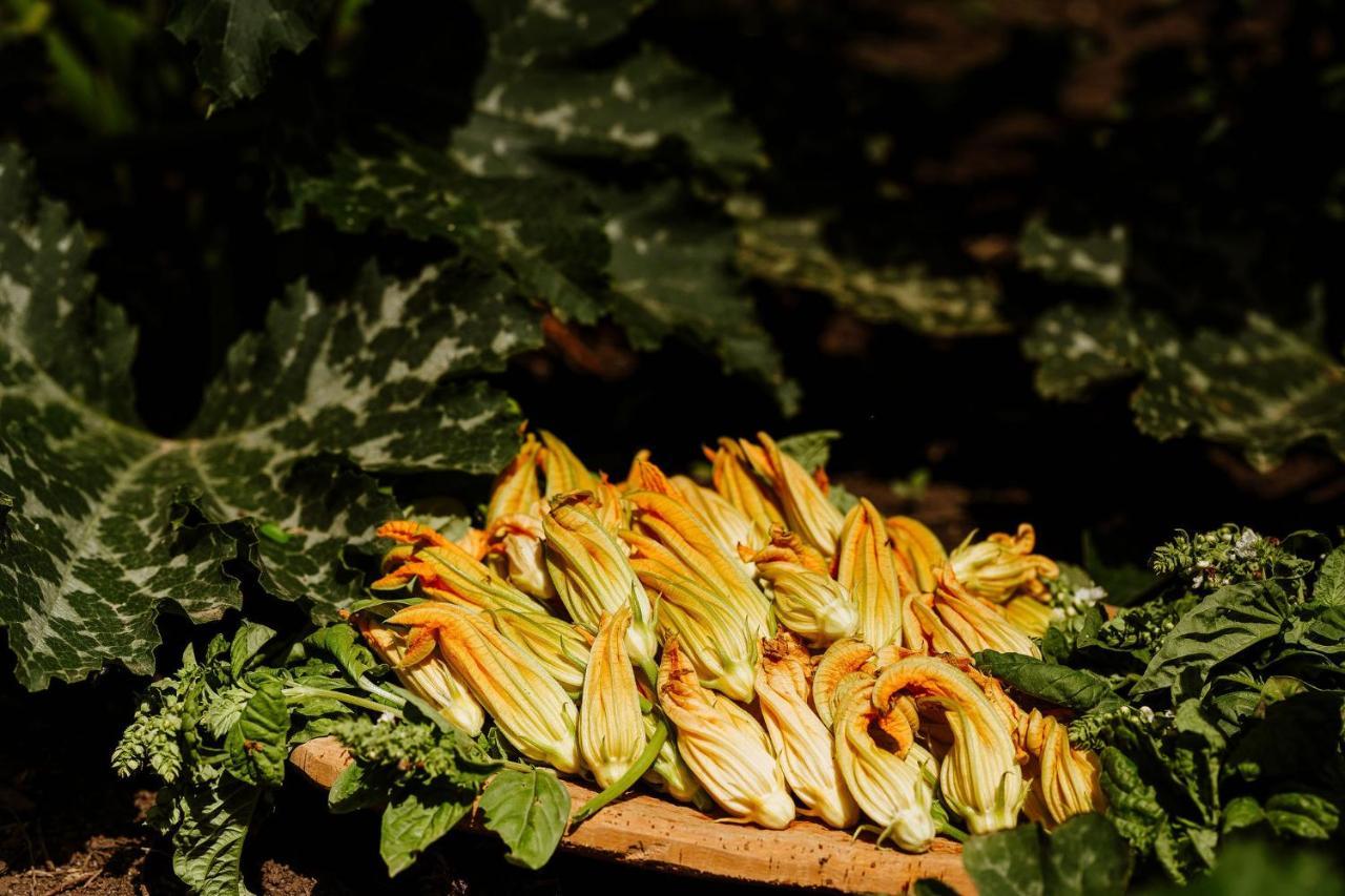 Vallicciola Nature Hotel เทมปิโอ เปาซาเนีย ภายนอก รูปภาพ