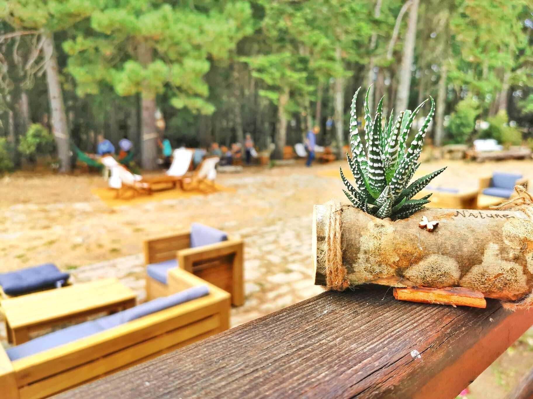 Vallicciola Nature Hotel เทมปิโอ เปาซาเนีย ภายนอก รูปภาพ